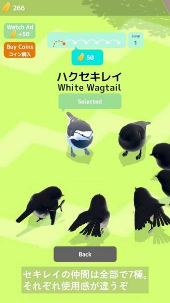 燕子模拟器的图册