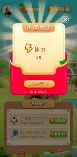 疯狂的菜园的图册