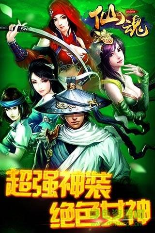 仙魂单机游戏的图册