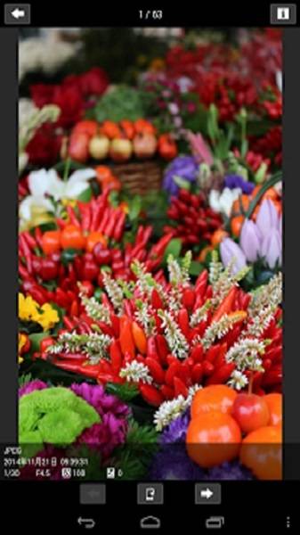 CameraConnect的图册