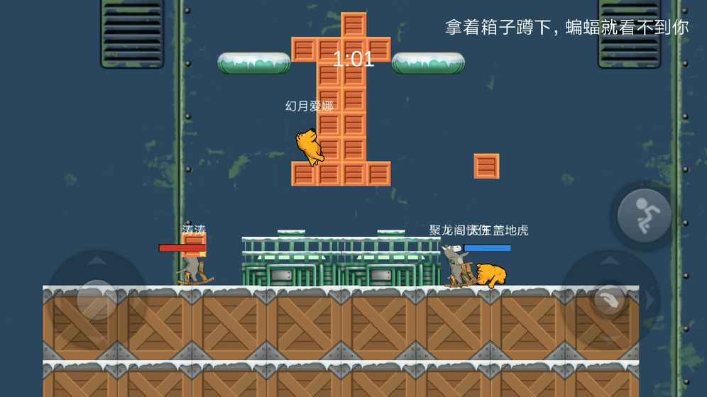 狗熊毛驴大乱斗的图册