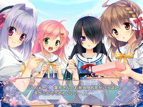 小樱没有回复的图册