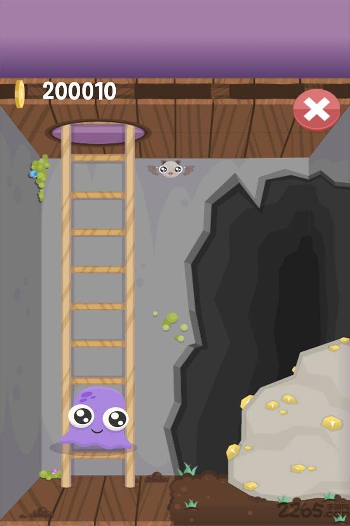 我的宠物5无限金币钻石版的图册