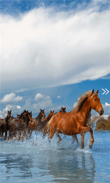 昭苏好地方客户端的图册