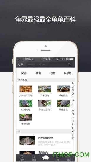 龟界手机版的图册