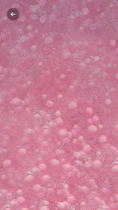 花式史莱姆的图册