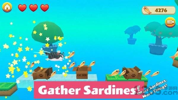 猫小盒2手机版的图册