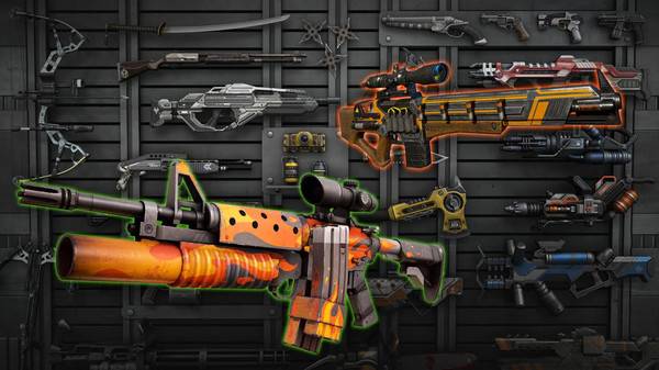 沙漠风暴生存的图册