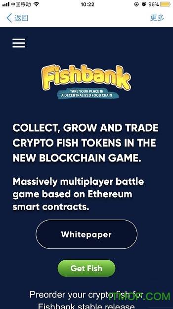 以太鱼游戏的图册