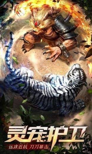 毒龙单职业的图册