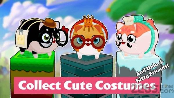 猫小盒2手机版的图册