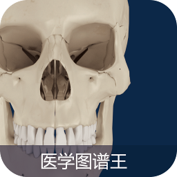 医学图谱王手机软件