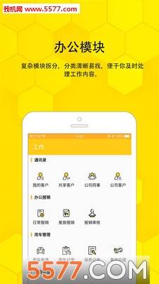 蜂后行为的图册