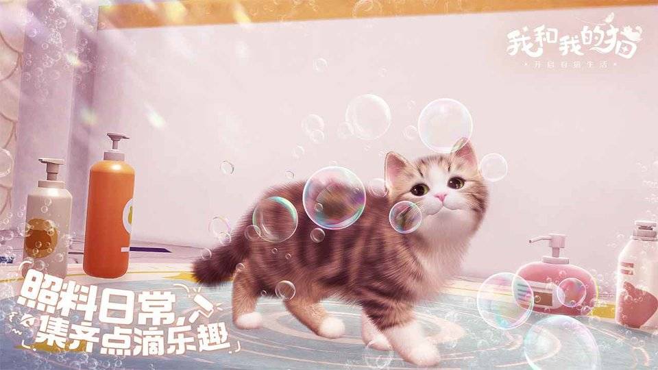 我和我的猫游戏的图册