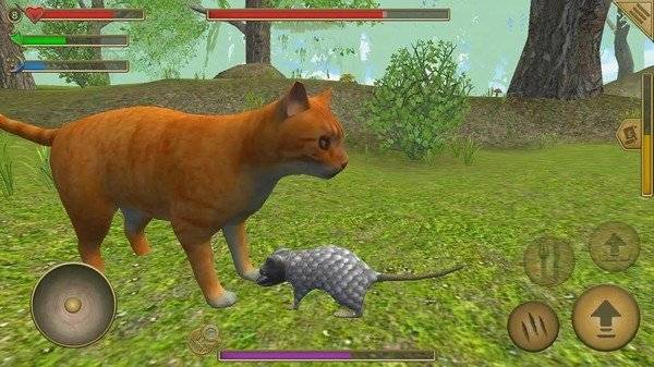 老鼠模拟器的图册