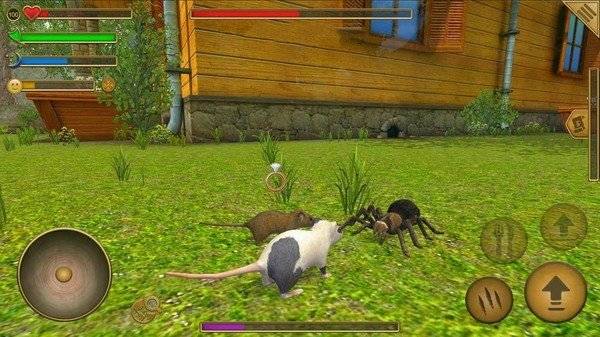 老鼠模拟器的图册