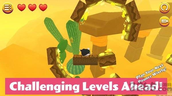 猫小盒2手机版的图册