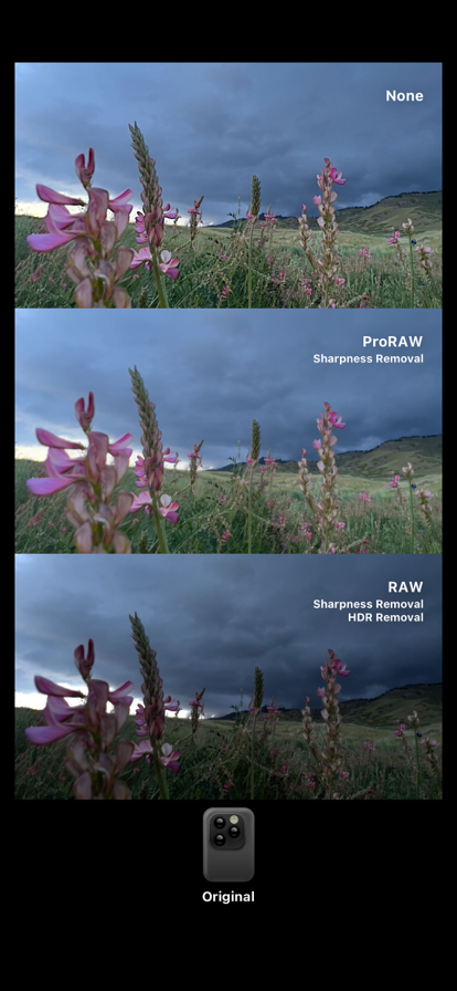 Dazz相机安卓手机版的图册