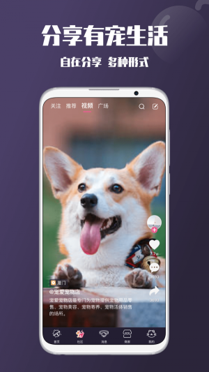 憨憨宠物的图册