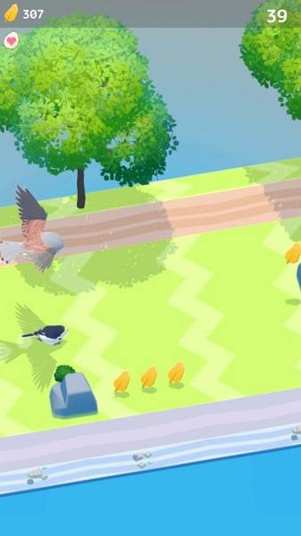 燕子模拟器的图册