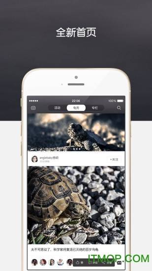 龟界手机版的图册