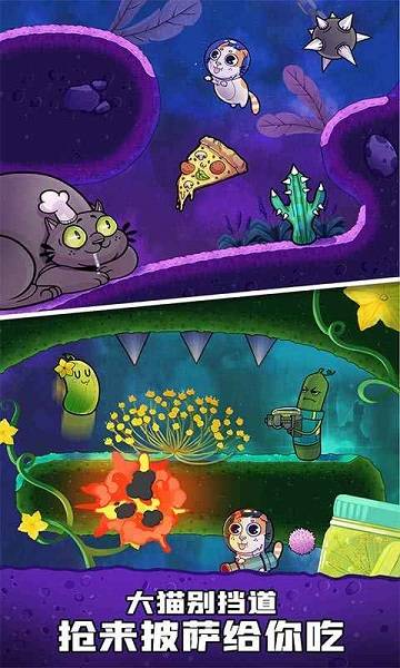 嘭嘭火箭猫的图册