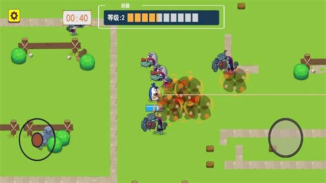 鸡仔幸存者的图册