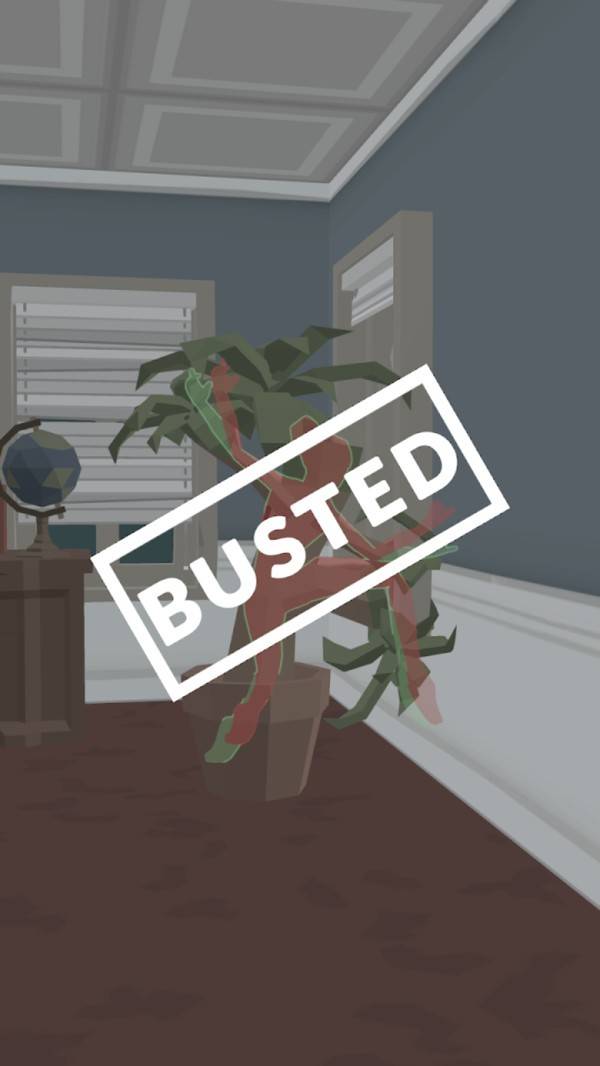 老王躲猫猫的图册