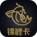 省点花金鲤卡官方版