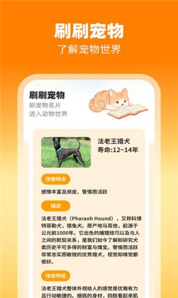 刷刷有喜app的图册